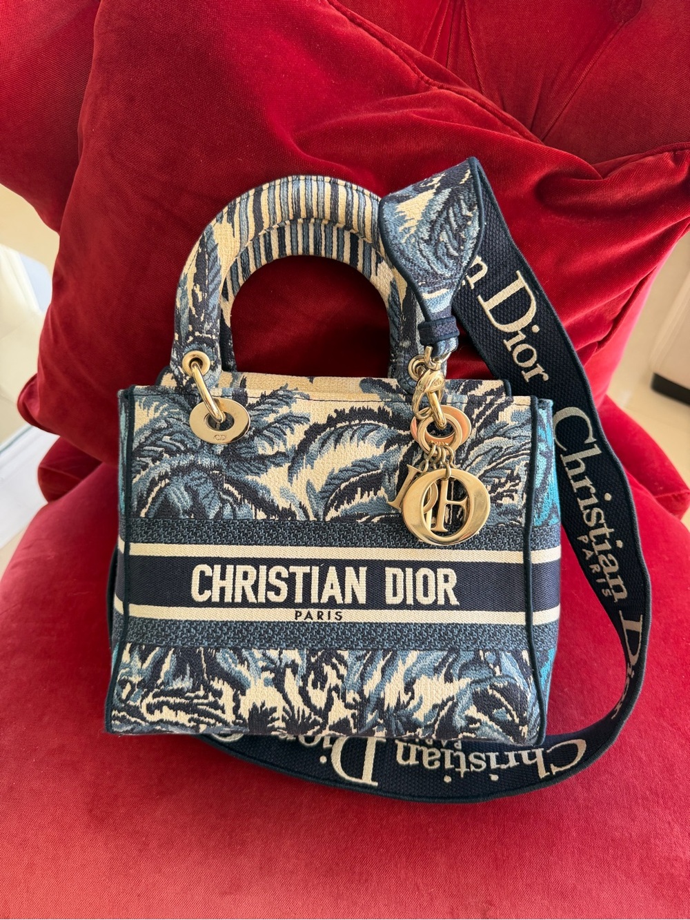 Iconic Dior Lady D-Lite Medium Blue Dior Palms